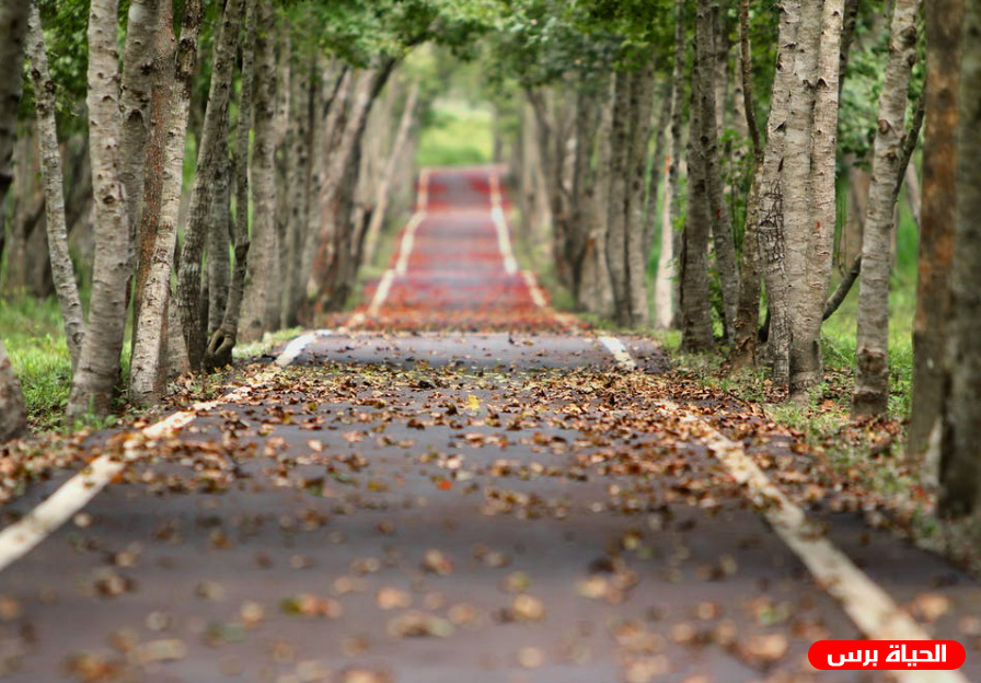 طقس فلسطين اليوم الأحد 30/10/2022